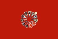 石峰区回收红酒